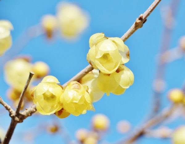 2027年4月入社新卒社員募集しております