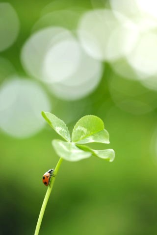 We are recruiting new graduates for April 2027 entry.